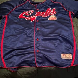 Blue and Red Baseball Jersey